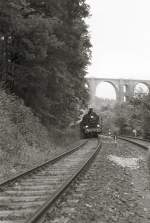 381182 auf der Elstertalbahn nahe dem Bhf. Bartm�hle vor Sonderzug, ...