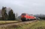 225 806 und 217 019 mit IKL 50536 in T��ling ...