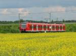 RB89 Westfalen-Bahn nach Paderborn Hbf bei Elsen am 24.05.2005  ...