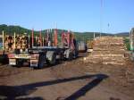 Holzverladung (Kyrill-Sturmholz) von der Stra�e auf die Schiene. Aufgenommen im ...