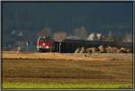 Dieselloks 2143 075 + ...  Leitner Thomas 30.01.2008