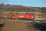 Ein Seitenschuss der mit ...  P.F. 16.02.2008
