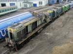 Von vorne stehen: SM48-118,102 ...  Dariusz Tuczkowski 19.02.2008