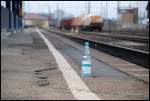 Sollte man nicht hinter der Linie stehen?;-)) Aufgenommen am 28.02.08 ... Sollte man nicht hinter der Linie stehen?;-)) Aufgenommen am 28.02.08 ...