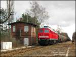 Durch die Dammsanierungen auf der Strecke Cottbus - Guben kommen ...