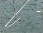 Stimmungsbilder Fahrleitungsaufh�ngung �ber dem Walensee, wobei der Fotograf scharf beobachtet wird. (10.03.2008)