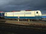 BR 184 184 003-2 im DB-Museum Koblenz.Links steht die E41 001.(19.1.08)