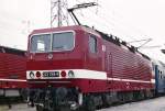 BR 143 Lokportraits Die 243 in Warnem�nde, noch in ihrer alten Originalfarbgebung!
Aufnahme 1990!
(Agfa Diascan)