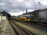 Am 13.M�rz 2008 waren ...  Robin Dunkel 13.03.2008