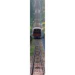 W�hrend der untere Teil der Heidelberger Bergbahn zu der modernsten ...