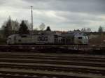 Am 17.03.2008 war der LTH-Tiger, der der OHE geh�rt, in ...