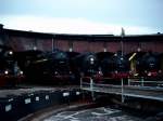 41 1144+43 001+38 205+75 515 pr�sentieren sich f�r die nachtfotoparade ...