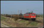155 112 mit einem ...  Steffen Schulz 12.04.2008