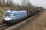 Der Griechenland-Stier am 27.03.08 in M�nchen-Zamdorf  ...