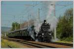 br-310 Am 8.12.2005 hatte sie ihre letzte Fahrt, seither war sie konserviert im Eisenbahnmuseum Strasshof abgestellt. Anl�sslich der Saisoner�ffnung 2008 im Eisenbahnmuseum Strasshof hauchte man 310.23 wieder Leben ein. Sie bespannte den Sonderzug R 16224 von Wien S�dbahnhof nach Strasshof. Die Aufnahme entstand beim Halt in Oberlaa. Zwischen 1938 und 1945 fuhr sie als DRB 16 008, zwischen 1945 und 1956 als 16.08. Heute tr�gt sie wieder ihre Ursprungsnummer 310.23. Diese Maschine wurde 1911 unter dem Chefkonstrukteur der kaiserlich-k�niglichen �sterreichischen Staatsbahnen (kkStB)  Karl G�lsdorf gebaut und gilt als eine der sch�nsten dieser Epoche.