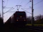 BR 185 Lokportaits 185 239-1 kurz vor Elmshorn. 21.04.08