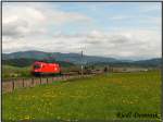 1116 113 rauscht mit ...  Dominik Riedl 01.05.2008