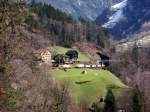 Zwei Am 843 begegnen sich bei Intschi an der Gotthard-Nordrampe ...