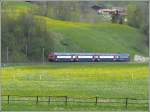 Vor Leuggelbach n�hert sich der S-Bahn Dosto 450 077-3. ...