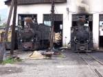 Dampfloks der ...  Frank Gr�newald 12.09.2004