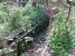 DTMB �ko Schneise Blick in die Grube im Lokschuppen 1.So ...