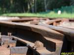 Impression von der Muttenthalbahn. ...  Robert Viktor 17.05.2008