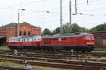 MEG 313 und EWR ...  Frank Gutschmidt 19.05.2008