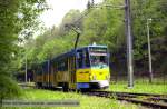 Triebwagen 303 der Stra�enbahn Gotha f�hrt auf dem Weg nach ...