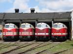 118 141-1 + 118 ...  Robert Heinzke 27.05.2008