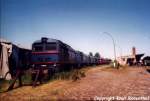 Mehrere Diesellokomotiven der Prignitzer ...  Knut Rosenthal 26.09.2004