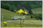 .......... oder so?? (Semmering ...  Hanspeter Reschinger 04.06.2008