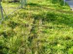 Feldbahn-Regelspurkreutzung 2006 auf der stillgelegten Plattentalbahn.  ...