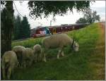 Regio 624 mit BDeh 3/6 25 am Rorschacherberg. (10.06.2008)  ...