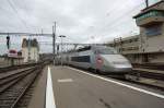 Ein TGV bei der ...  Tobias Schuminetz, Hirschau 18.06.2008