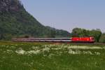 1116 169 und 1216 234 mit OEC 162 vor Niederaudorf ...
