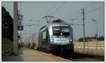 Notschlachtung des R 2223, ...  Hanspeter Reschinger 08.07.2008