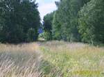 ex KBS 556: Bhf Remptendorf in FR. Triptis. Die gesamte ...