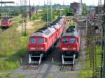 Sonntagsruhe im Cargo-Werk Halle/Saale. Mehrere Ludmillas und eine BR 155 ...