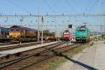 bb-37000-prima BB 37049 - 482 032 - 66208 Euro Cargo Rail Muttenz 15 juillet 2008