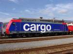 Die Re 484 007 ...  Daniel Sch�rer 24.10.2004
