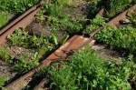 Ryttaren Torfstr�fabrik - man beachte die Konstruktion des Herzst�ckes an ...