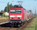 Ein ganz SELTENER Gast ...  Hannes M�ller 01.08.2008