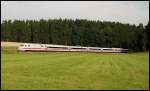 Ein ICE-1 durchf�hrt einen Tannenwald in der N�he von Beimerstetten. ...