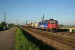 SBB Cargo Re 421 ...  Gilbert Angermann 17.08.2008