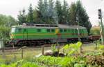 Diesellok 232088-5 - EfW ...  Rolf Reinhardt 13.09.2008