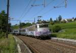BB 25 254 mit TER Lyon - Gen�ve in Russin ...