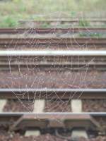 Stimmungsbilder Spinnennetz als Bahnimpression im L�bbenauer Bahnhof gesehen. 27.09.2008