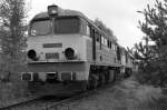st44-m62 Auch ST44-013 ist schon einige Jahre abgestellt.Zamosc den 15.09.08