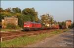 Nur wenige Stunden begl�ckte ...  Harald Neumann 08.10.2008