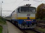 Die 754 019 am 03.10.2008 mit dem ALEX nach Prag ...